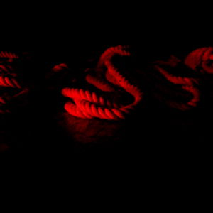 Godess Nikolle photo