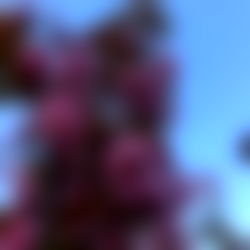 ๐ญCandy_bbb๐ photo