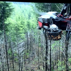 Matthew McKnight photo