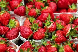 Strawberry photo