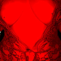 OnlyFans Model in Red Lingerie