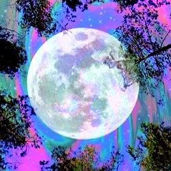 David△⃒⃘ photo