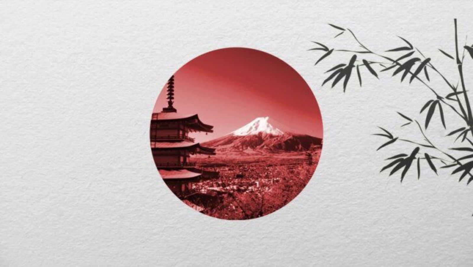 ♥️KITTEN🤍 photo