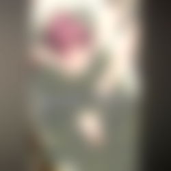 Bellz ๐๐๐งโโ๏ธ photo