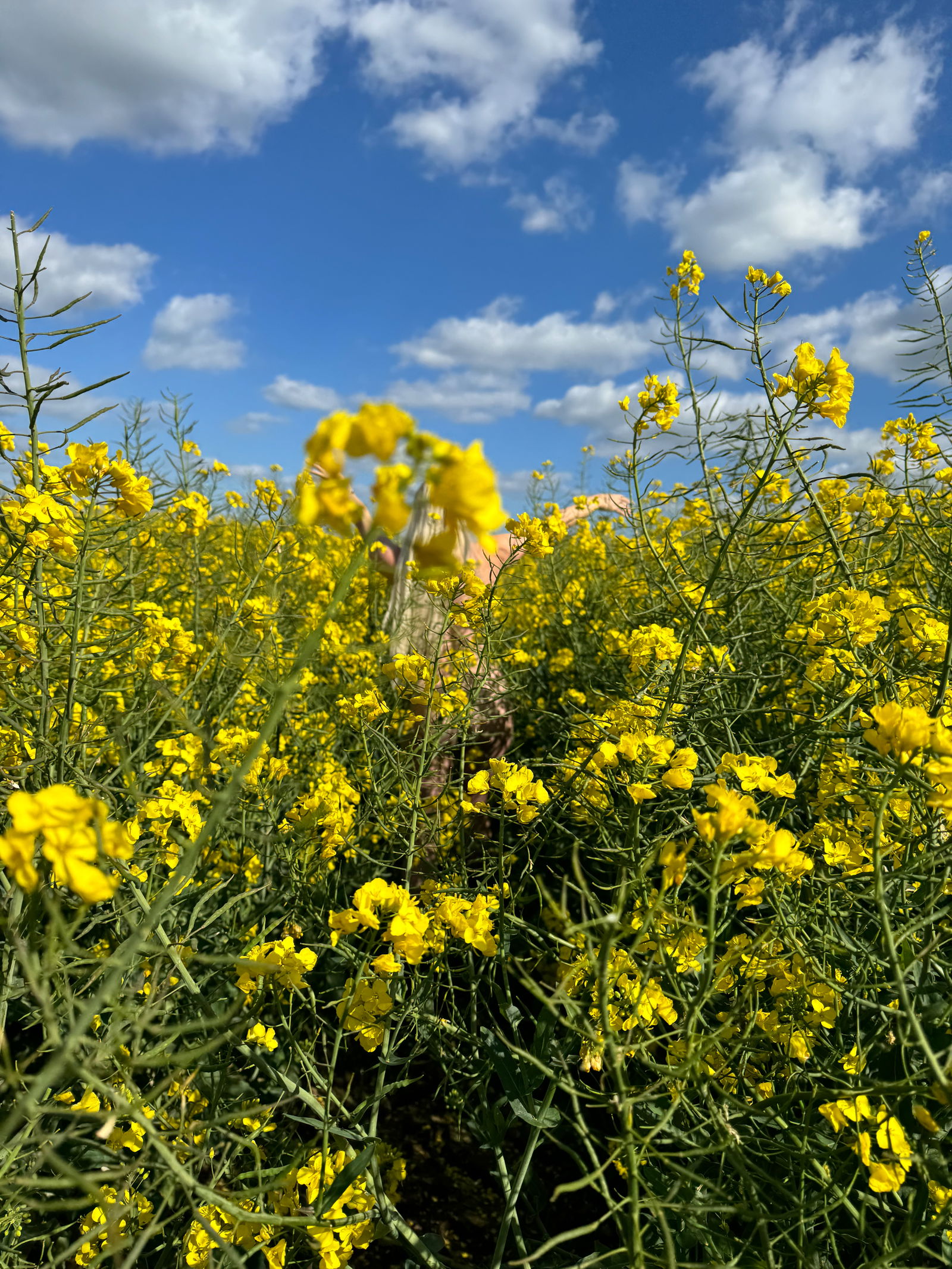Little Miss Naughty &amp; Frank photo