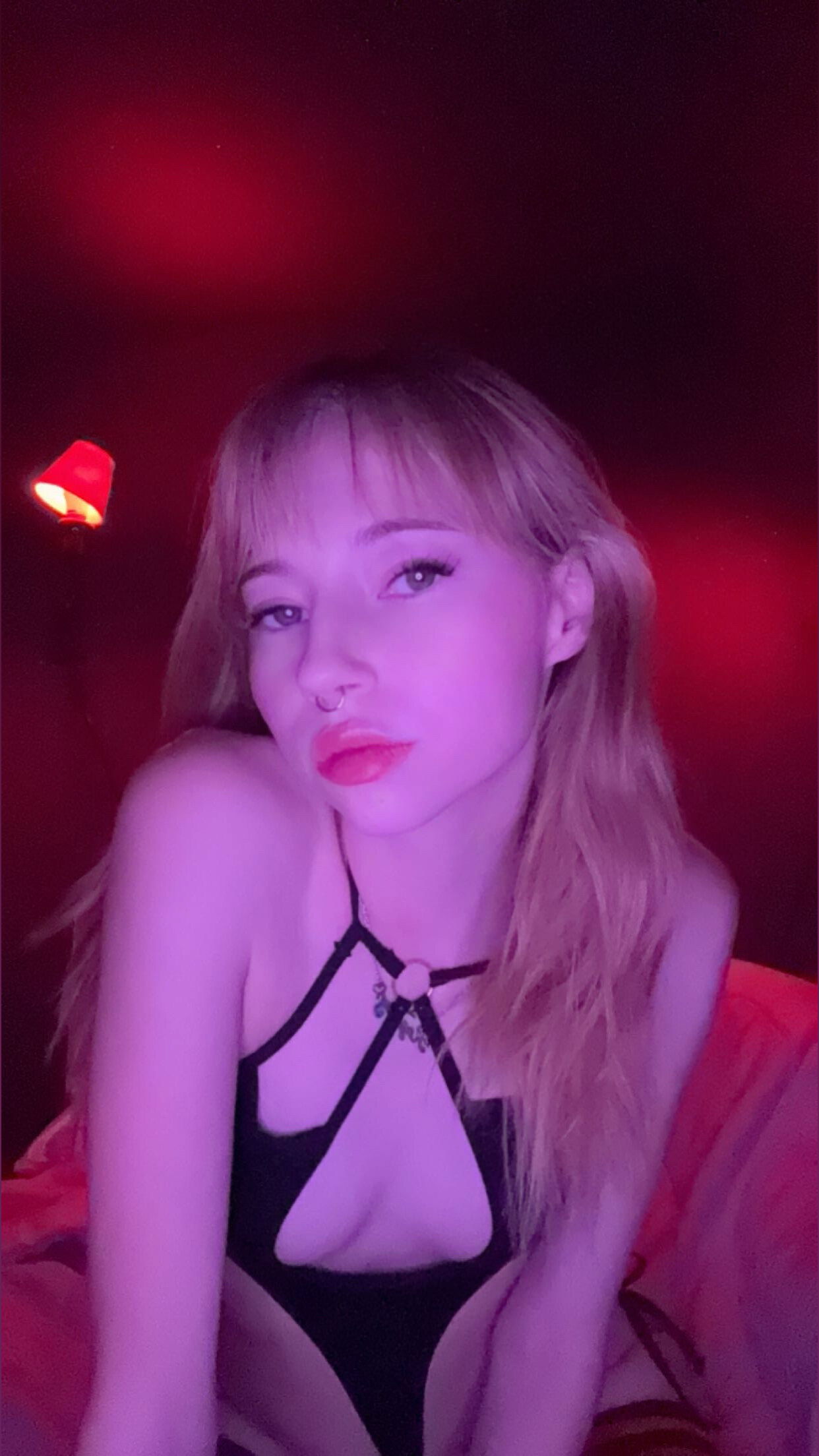 🐇Baby Bunny🐇 photo