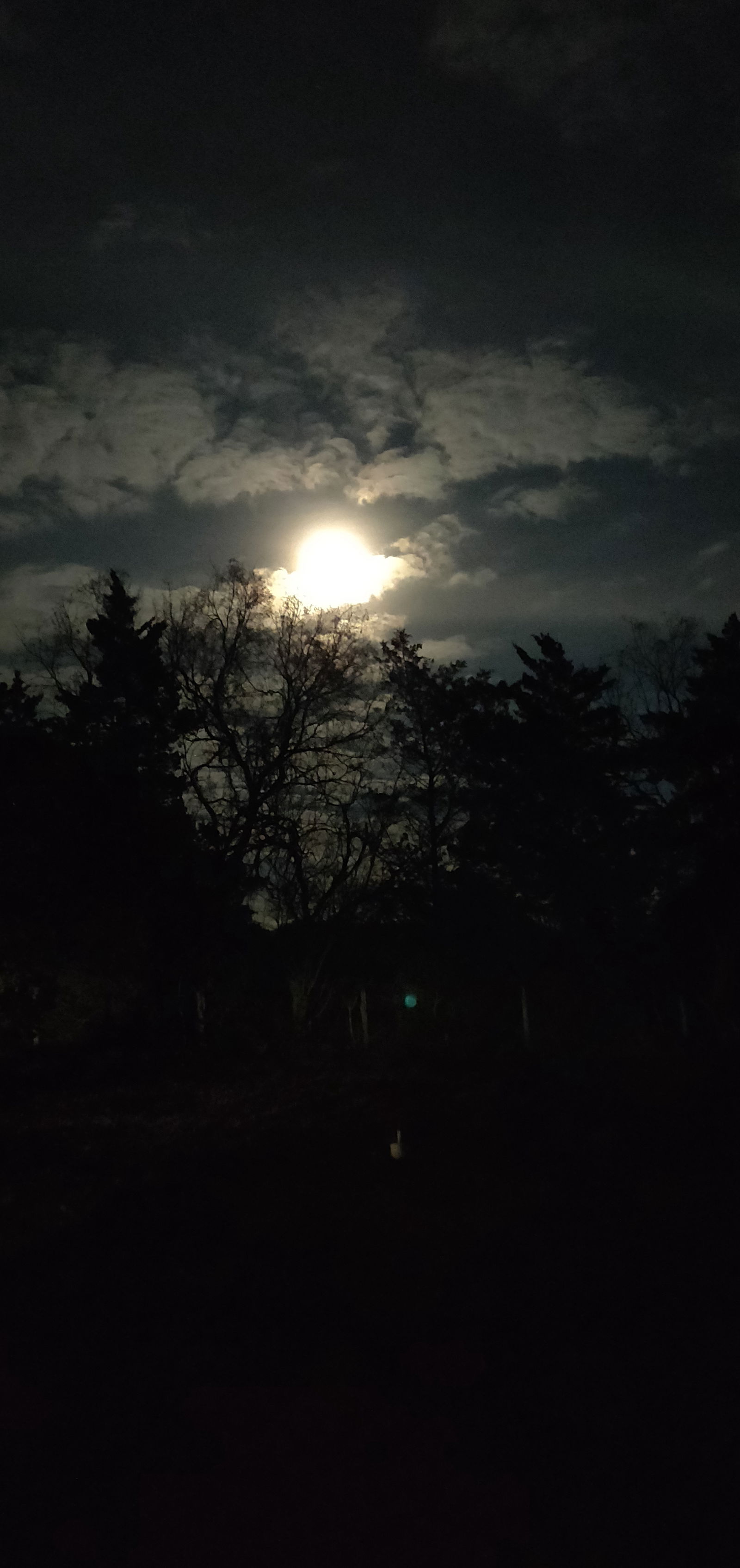 alexander banch photo