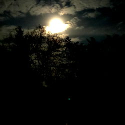 alexander banch photo