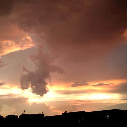 Mercedes Black ๐ฉต๐ค photo