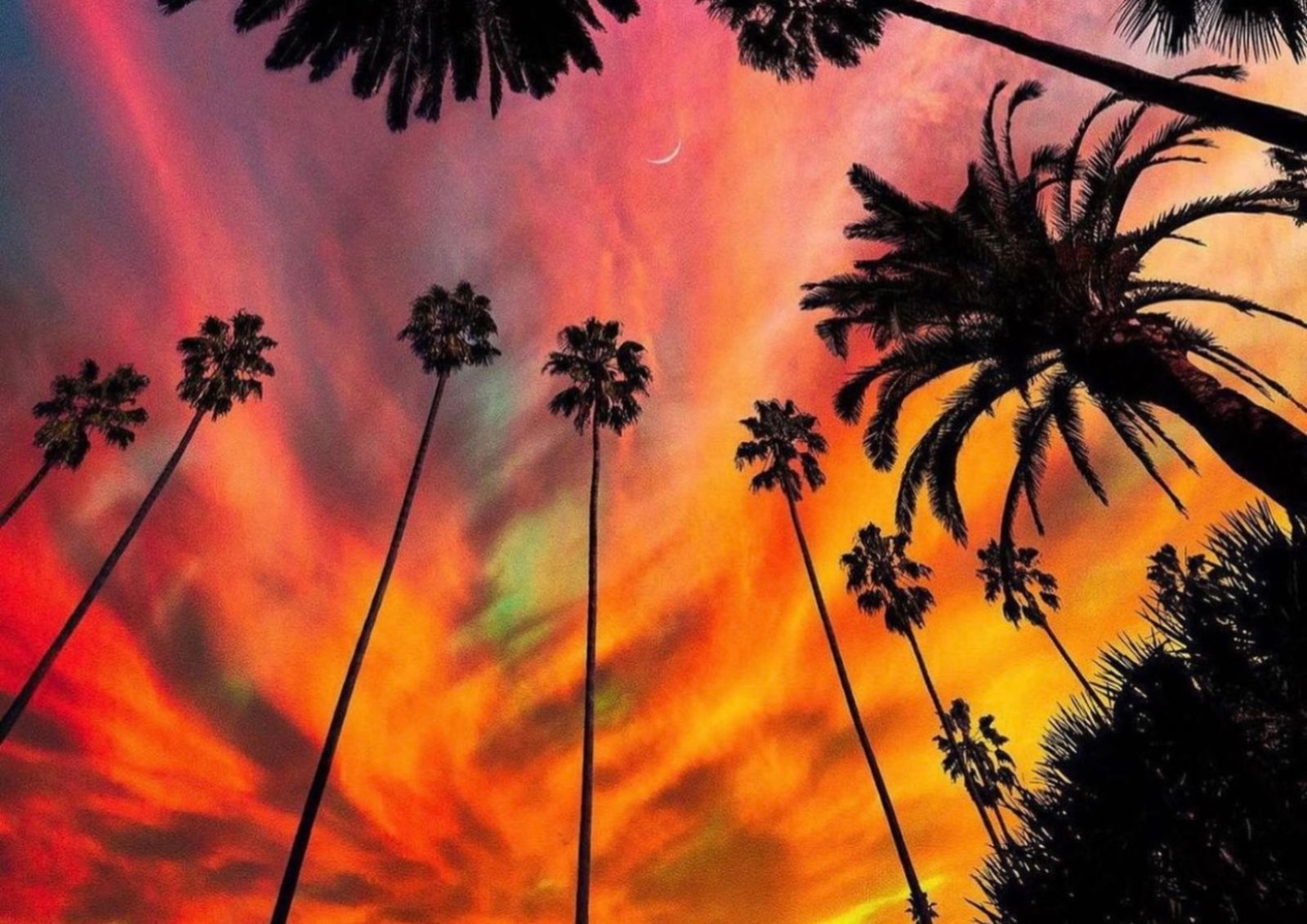 Ms. Bush ♡♥ FREE PAGE ♡♥ photo