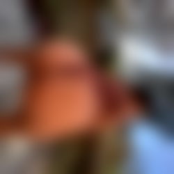 Anastasia ๐ ๐ฆ photo