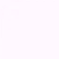 Emy, The Parisian Fashion Influencer