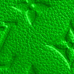 THE CHOCOLATE FACTORY🍫🍒 photo