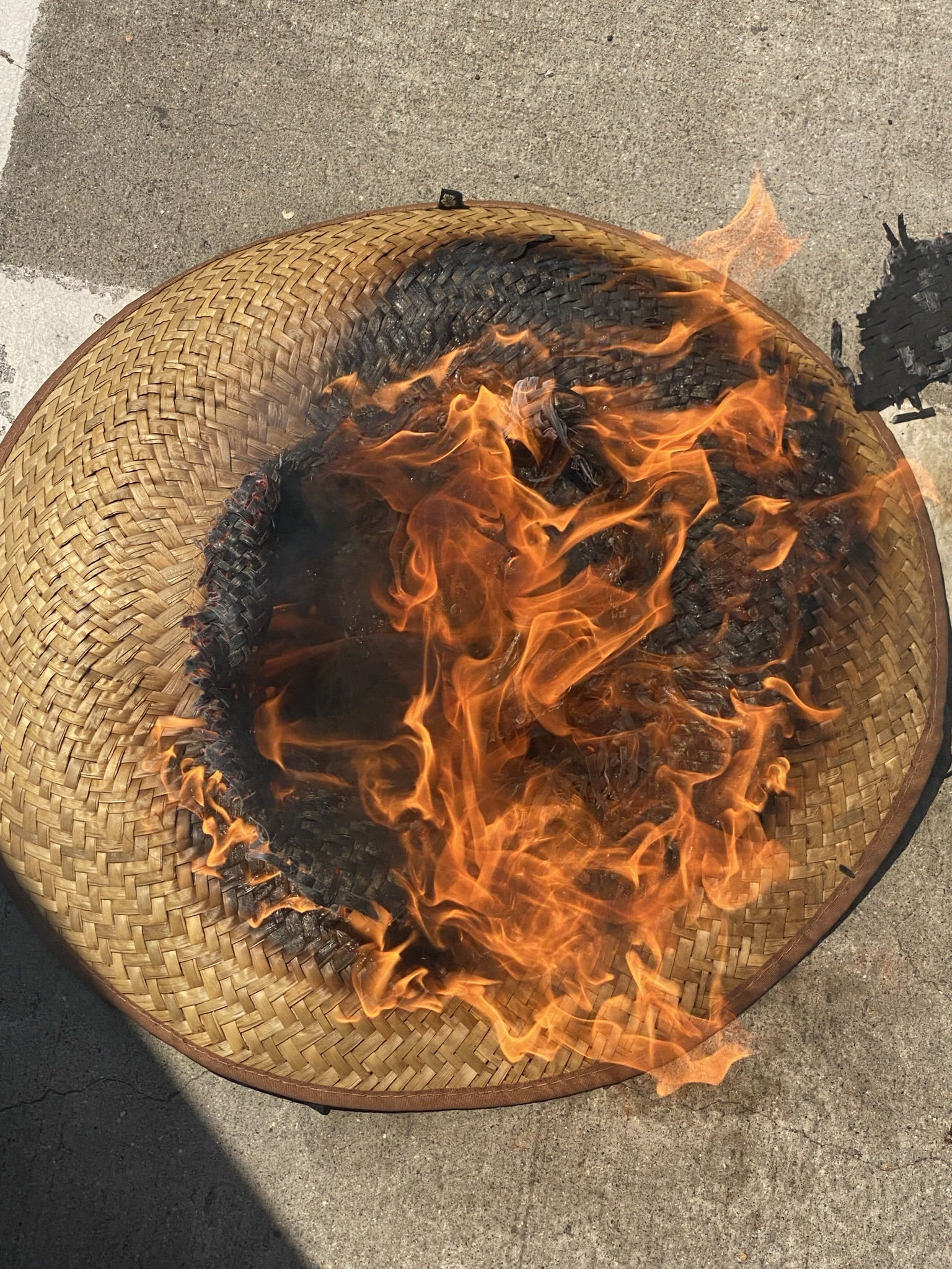 Alessandra Jane photo