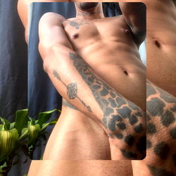 Busseth ๐ฆ photo