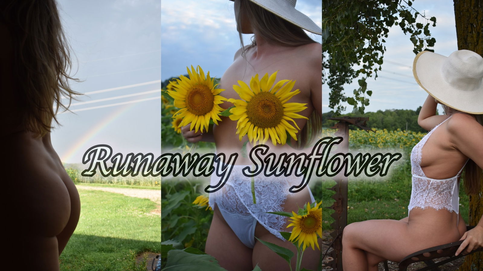 Runaway Sunflower photo