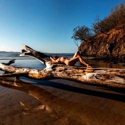 Ariadne Oliver photo