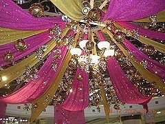 Anastasia Gamila photo