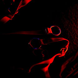 Cammiil Fênix photo