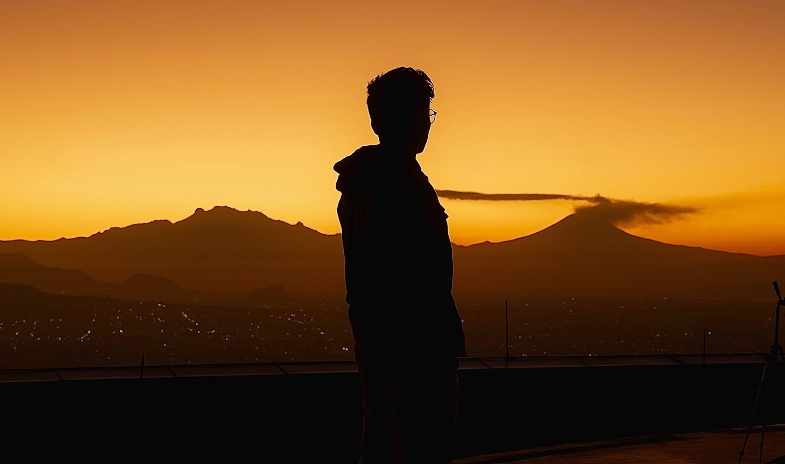 Alan'S Gus-Gus photo