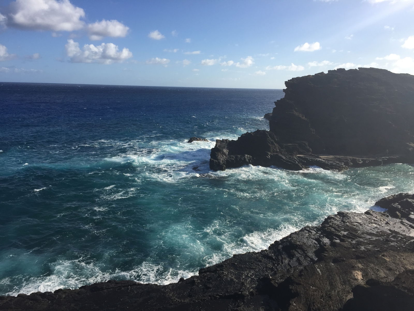 Your Favorite! photo