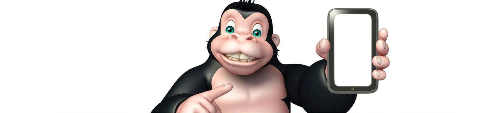 TheWebGorillas photo