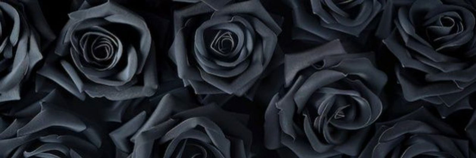 Mistress Blancka photo