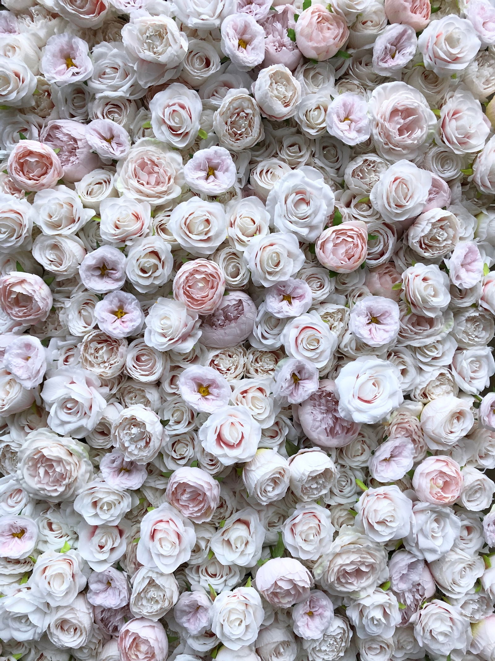 Letmebeyourfantasy photo