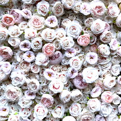 Letmebeyourfantasy photo