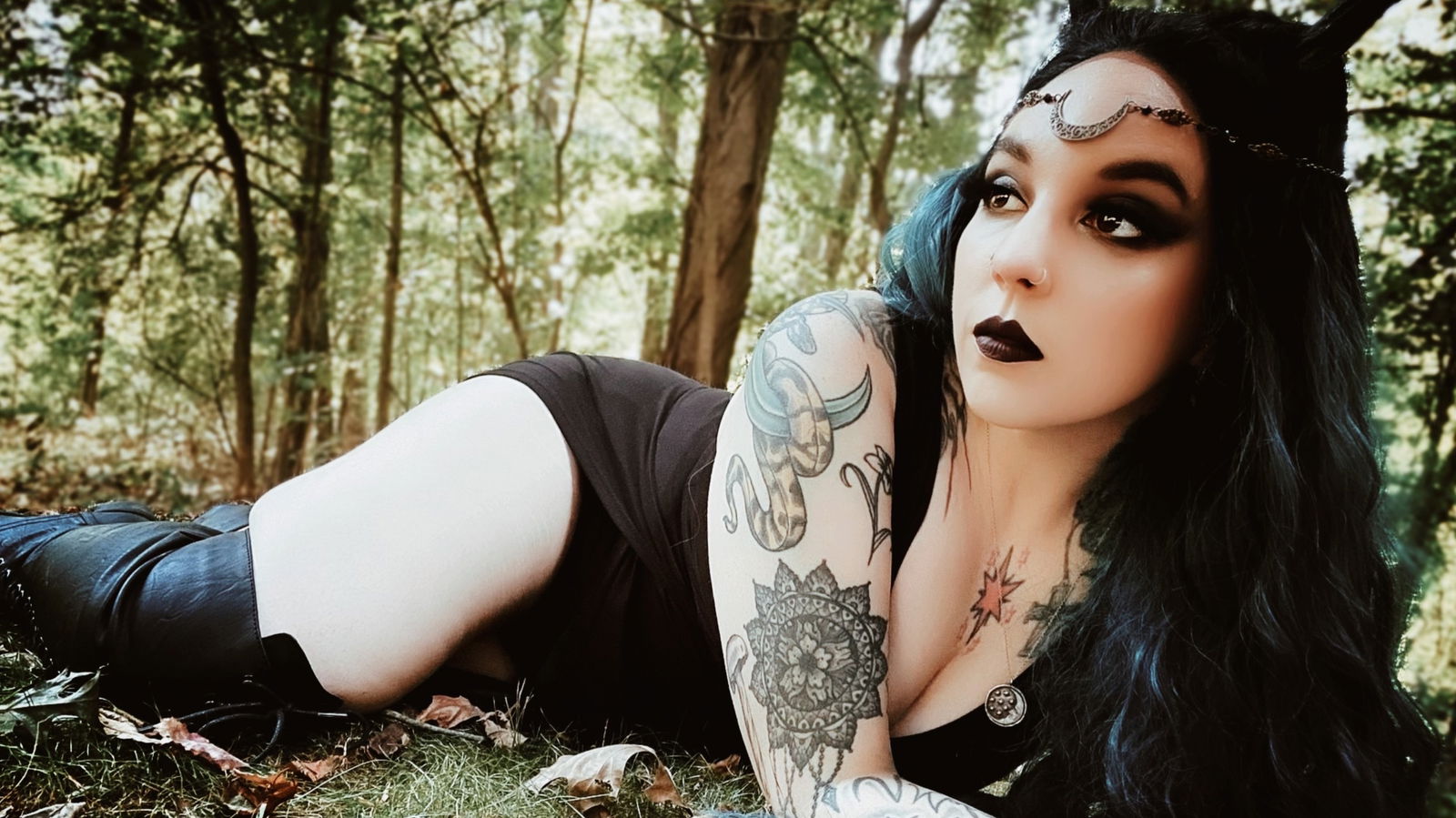 Greynight🩶🐺 photo