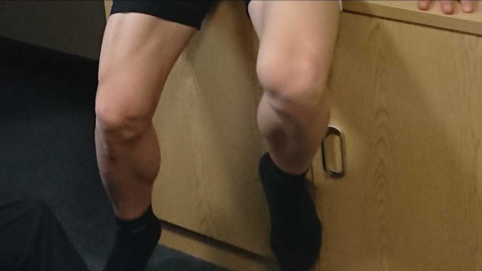 Calves for days photo