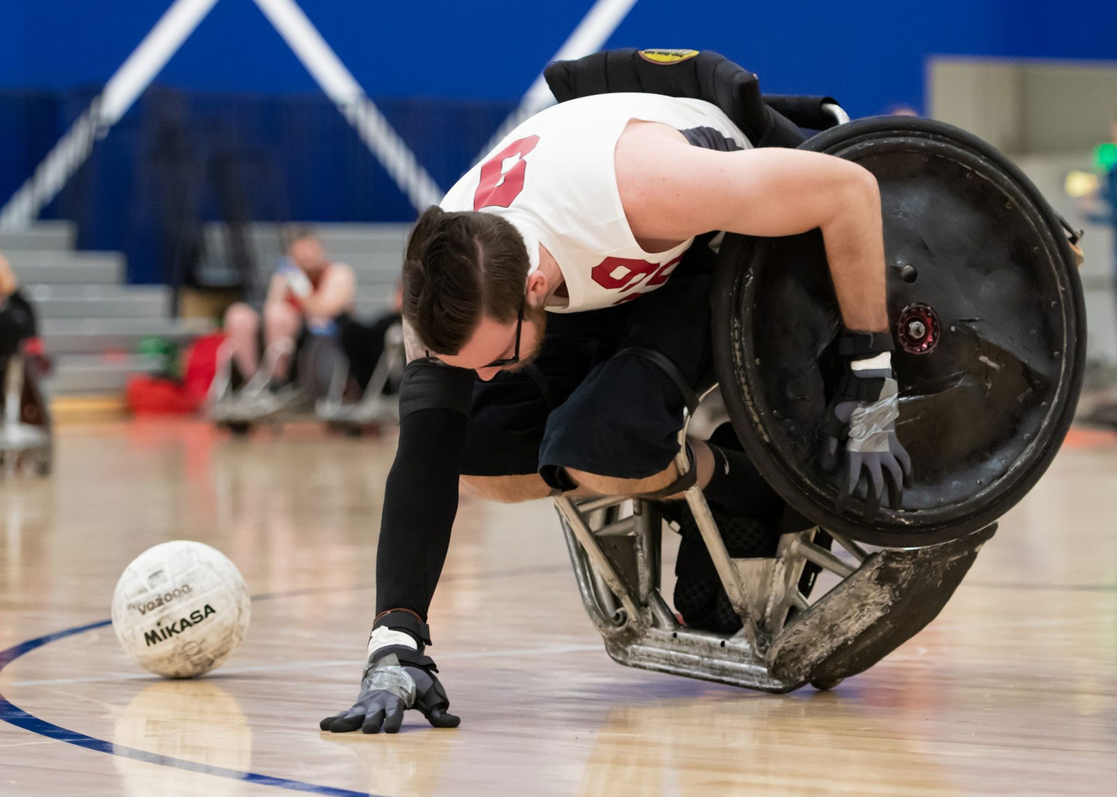 Disastrous Fox photo