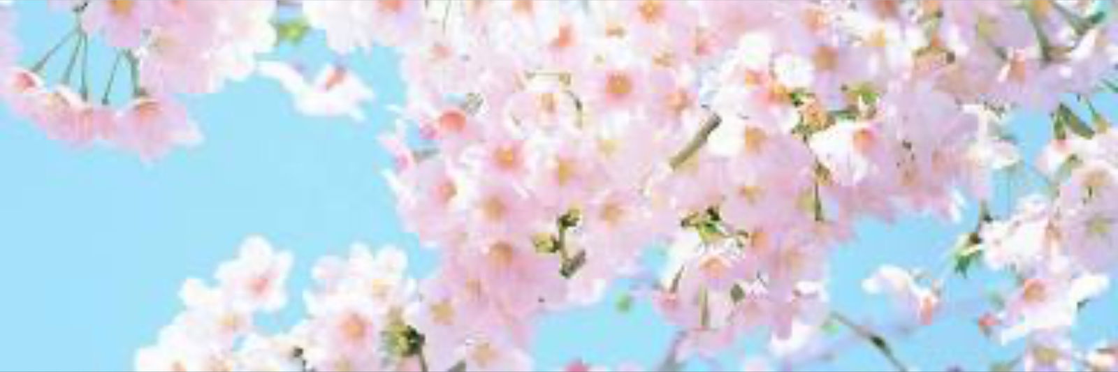 Alyssa 💕💫🌵😸 photo