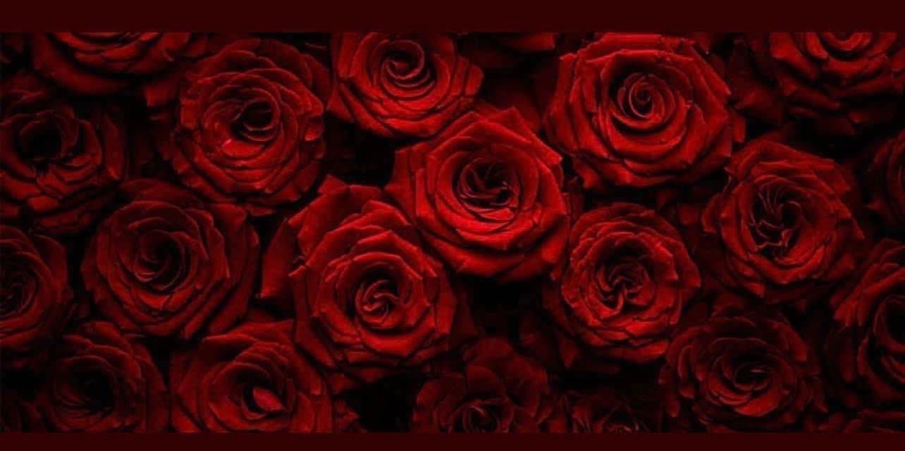 AR Jocelin ✨ photo