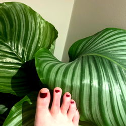 Nature's Beauty in Flower Arrangement