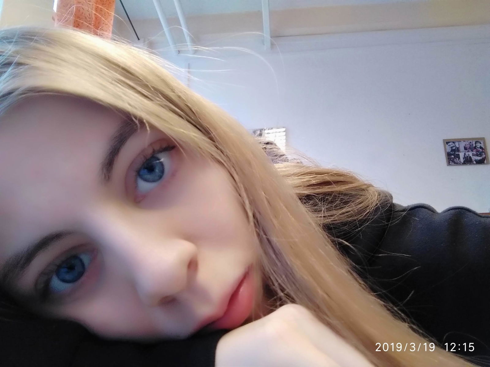 Your Angel Kitten photo