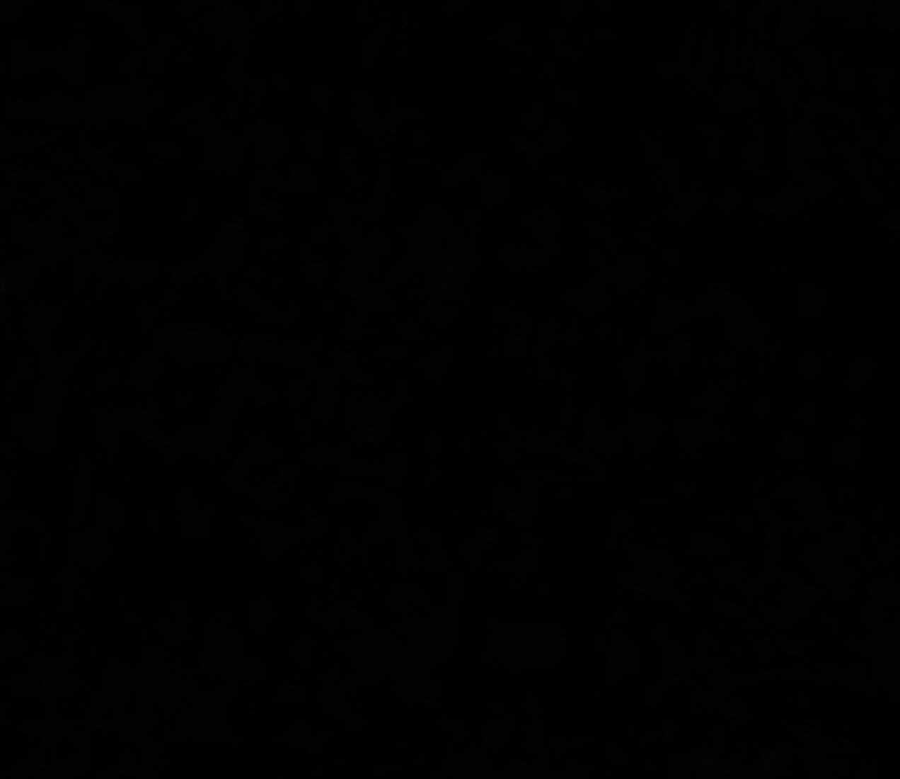 Quicksilver (NO PPV) photo