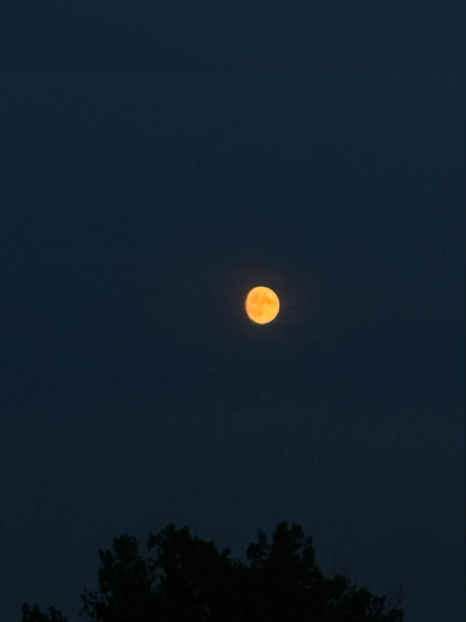 𝔱𝔥𝔢 𝔡𝔢𝔳𝔦𝔩'𝔰 𝔞𝔫𝔤𝔢𝔩 photo