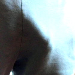 Ace's Canadian Adventures