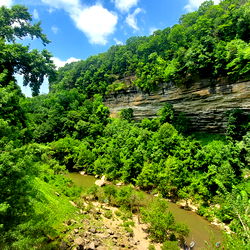 ♡ 𝓓 𝓔 𝓛 𝓘 𝓒 𝓐 𝓣 𝓔 ♡ photo