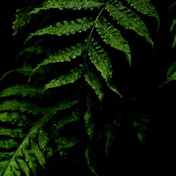 Marina Dove🕊 photo