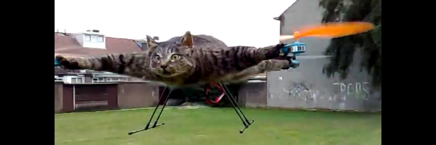 Arnold, Nicholas photo