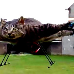 Arnold, Nicholas photo