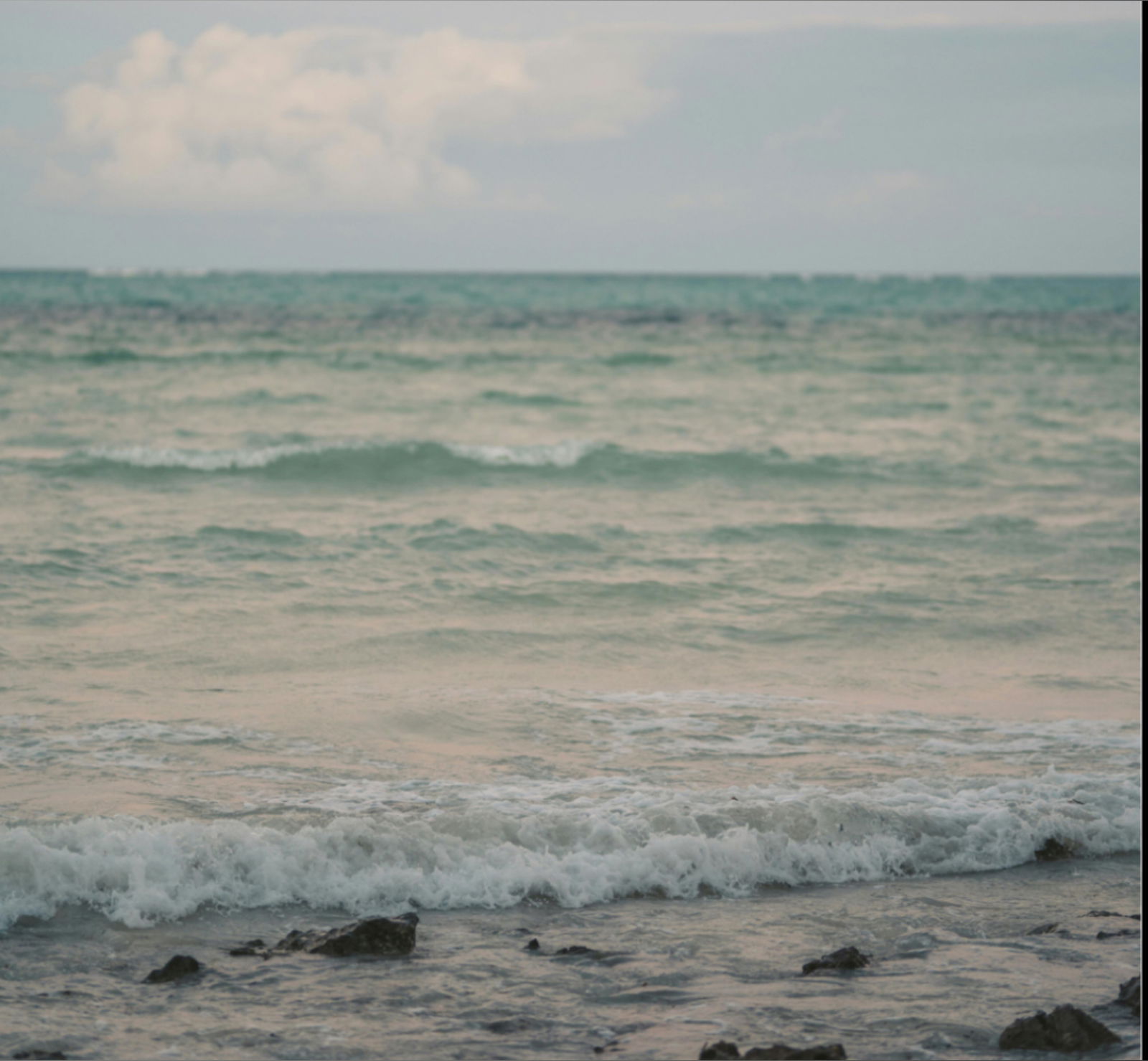 Cherryxoviolet ♡ photo