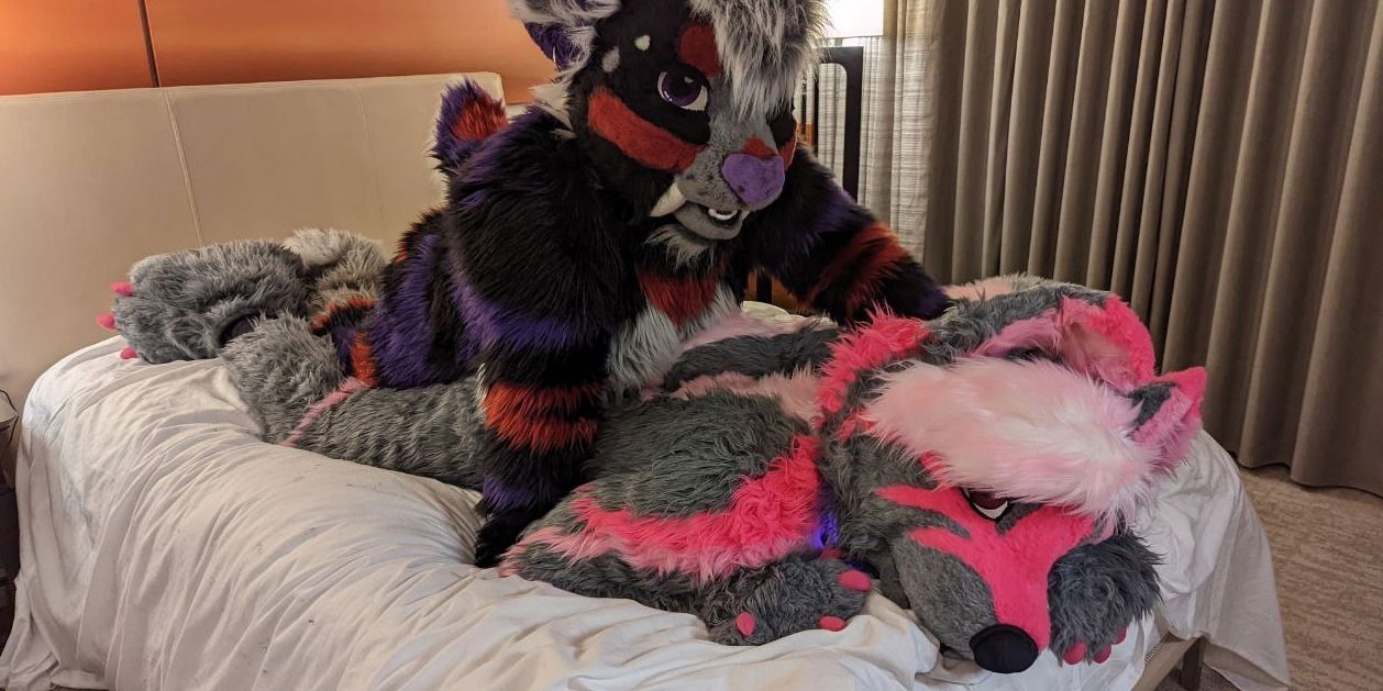 A Naughty kitty photo