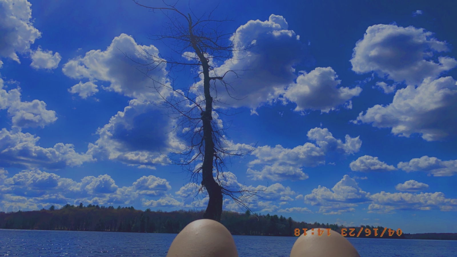 Amberr Elainee photo