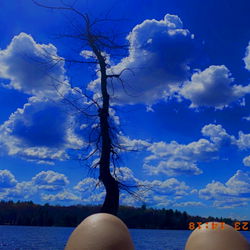 Amberr Elainee photo