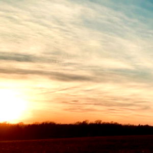 ๐บ๐ฆ Ande ๐บ๐ฆ photo