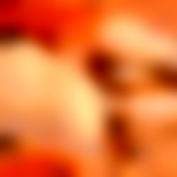 Angelina Mae โญโญโญโญโญ photo