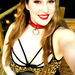 Antarctica Model Alabaster Kitten in Playful Outfit